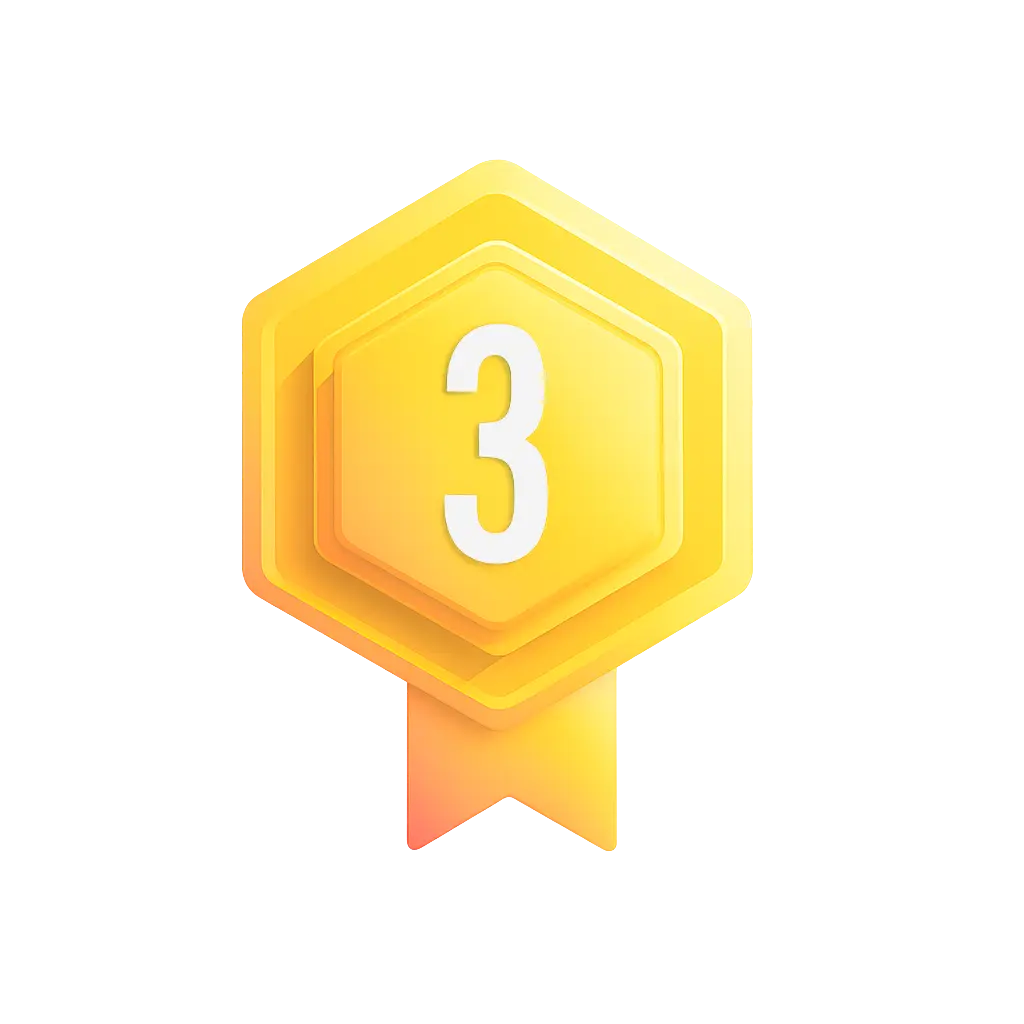 3 (11)